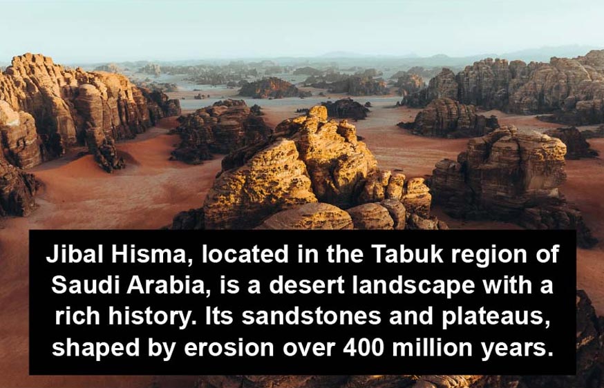 AI media live event translation hire